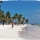 The Playa Paraiso and Tulum Beach in Mexico